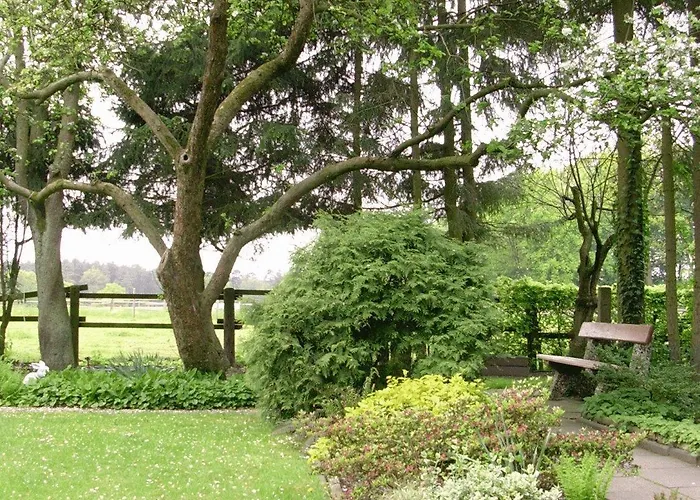 Land-gut-hotel Heidehof 3*